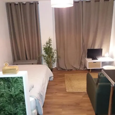 Daire Studio Avec Terrasse, Proche Tram *