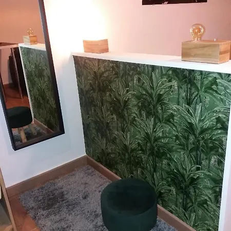 Daire Studio Avec Terrasse, Proche Tram